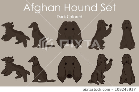Simple and cute black Afghan hound illustration set 109245937
