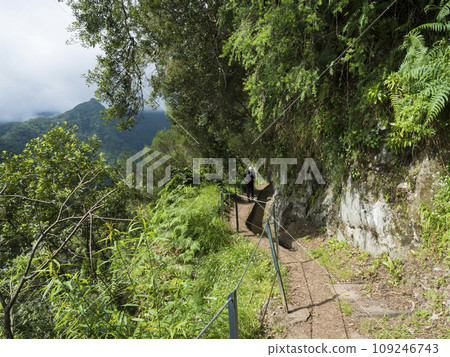 View of valley with green mountains and tropical plants from Levada Do Rei PR18 hike, from Sao Jorge ending at the source in Ribeiro Bonito, Madeira, Portugal View of valley with green mountains and tropical plants from Levada Do Rei PR18 hike, from Sao Jorge ending at the source in Ribeiro Bonito, Madeira, Portugal 109246743