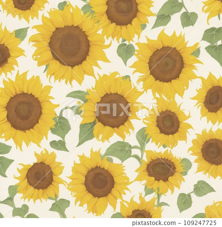 sunflowers on white background sunflowers on white background 109247725