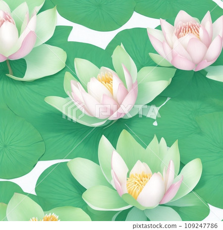 pink water lily pink water lily 109247786