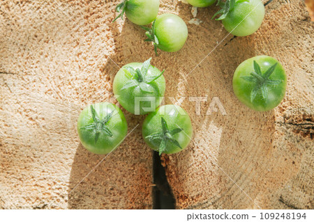 Green cherry tomatoes on wooden stump in bright rays of sun. 109248194