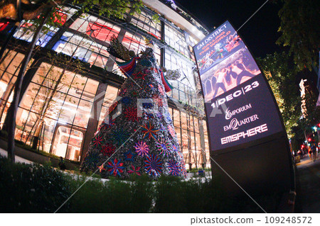 christmas tree, christmas trees, xmas-tree 109248572