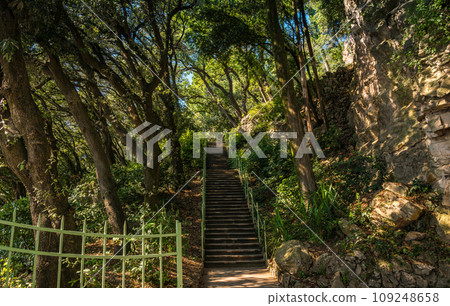 The Miramare garden in Trieste, situated above the Adriatic sea. Italy The Miramare garden in Trieste, situated above the Adriatic sea. Italy 109248658
