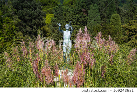 The Miramare garden in Trieste, situated above the Adriatic sea. Italy 109248681