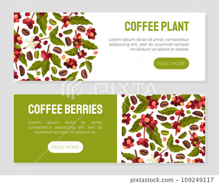 Coffee Plant Banner Design with Fruit Branch Vector Template Coffee Plant Banner Design with Fruit Branch Vector Template 109249117