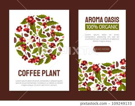 Coffee Plant Banner Design with Fruit Branch Vector Template Coffee Plant Banner Design with Fruit Branch Vector Template 109249133
