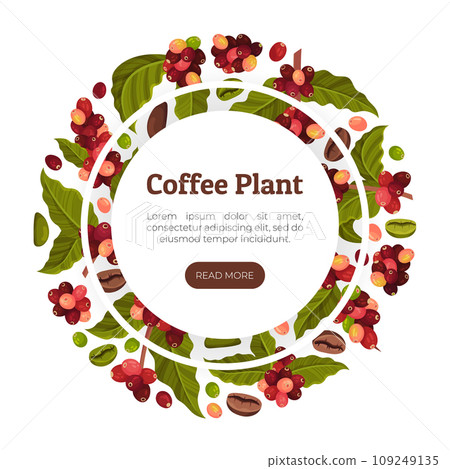 Coffee Plant Banner Design with Fruit Branch Vector Template Coffee Plant Banner Design with Fruit Branch Vector Template 109249135