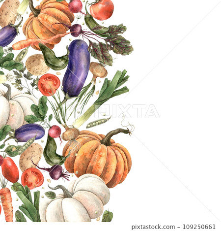 Watercolor composition from a set of vegetables: pumpkin, eggplant, onion, beets, peppers, radishes, dill, carrots, peas, potatoes, parsley, spinach, watercolor. The illustration is drawn by hand. Watercolor composition from a set of vegetables: pumpkin, eggplant, onion, beets, peppers, radishes, dill, carrots, peas, potatoes, parsley, spinach, watercolor. The illustration is drawn by hand. 109250661