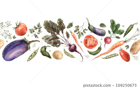 Hand drawn watercolor vegetables. Seamless border on a white background. Use in design, cards, brochures, packaging, fabric, menus, cookbooks. 109250673