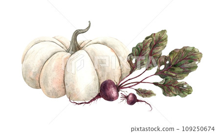 Watercolor composition with pumpkin and beets. Hand drawn for use in design, posters, menus, cards, corporate identity, cookbooks. Watercolor composition with pumpkin and beets. Hand drawn for use in design, posters, menus, cards, corporate identity, cookbooks. 109250674