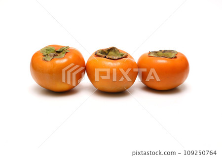Persimmon on white background 109250764