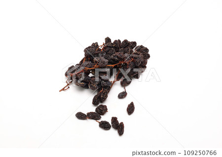 白色背景上有樹枝的乾葡萄 109250766