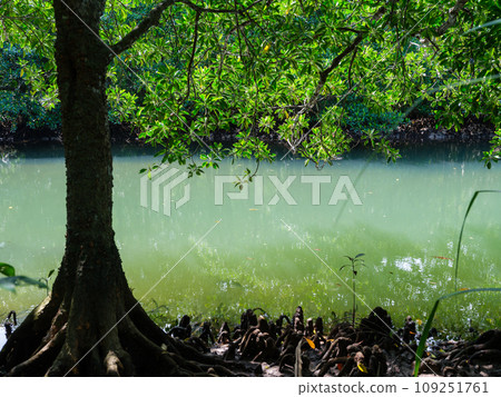 Hinai River Hinai River 109251761