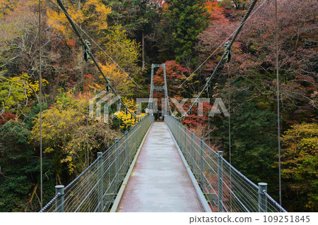 Tenryu Gorge Azalea Bridge Kawaji, Iida City, Nagano Prefecture Tenryu Gorge Azalea Bridge Kawaji, Iida City, Nagano Prefecture 109251845