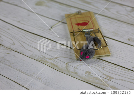 Close up photo of a toy mouse caught in a mousetrap on a white wooden floor Close up photo of a toy mouse caught in a mousetrap on a white wooden floor 109252185