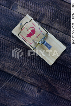 Mousetrap ready for use lies on a wooden floor, space for text, vertical photo Mousetrap ready for use lies on a wooden floor, space for text, vertical photo 109252188