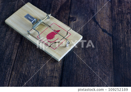 Charged mousetrap with a picture of a rodent lies on a dark wooden floor Charged mousetrap with a picture of a rodent lies on a dark wooden floor 109252189