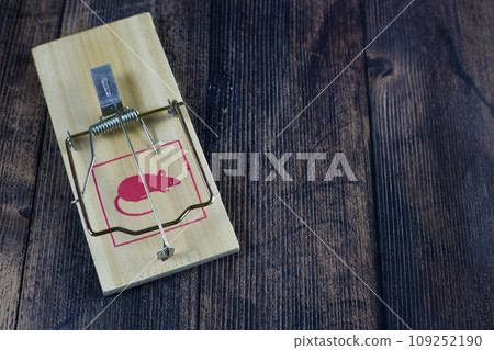 Empty mousetrap ready for use. Rodent trap in the house on a dark wooden floor Empty mousetrap ready for use. Rodent trap in the house on a dark wooden floor 109252190