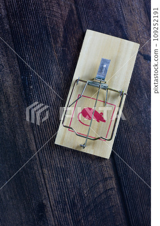 Close up photo of a mousetrap ready to use on a wooden floor vertical photo 109252191