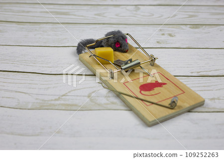Small fluffy mouse toy caught in a mousetrap next to bait with a triangular piece of cheese on a white wooden background 109252263