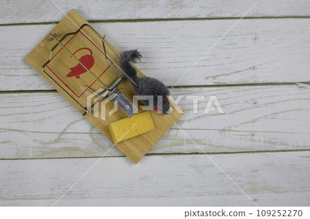 Toy mouse near a triangular piece of cheese in a mousetrap a second before being caught on a white wooden floor, top view Toy mouse near a triangular piece of cheese in a mousetrap a second before being caught on a white wooden floor, top view 109252270
