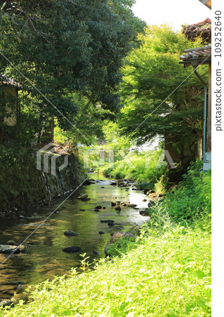 Ginzan River in summer with lush greenery (Ota City, Shimane Prefecture, Japan) Ginzan River in summer with lush greenery (Ota City, Shimane Prefecture, Japan) 109252640