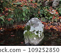 Lake autumn pond 109252850
