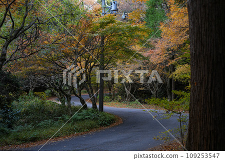 Koto Sanzan Baeksaiji Temple Autumn Koto Sanzan Baeksaiji Temple Autumn 109253547