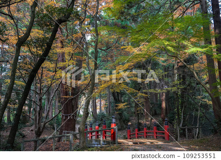 江東三山百濟寺秋天 江東三山百濟寺秋天 109253551