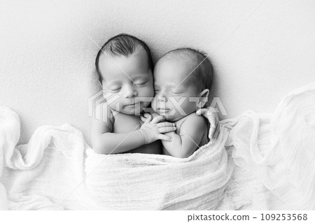 Tiny newborn twins boys in white cocoons on a white background. A newborn twin sleeps next to his brother. Newborn two twins boys hugging each other. Professional studio photography. Black and white 109253568