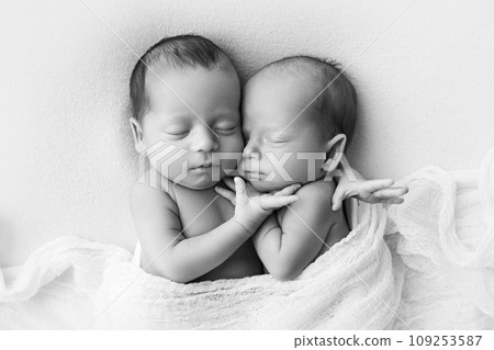 Tiny newborn twins boys in white cocoons on a white background. A newborn twin sleeps next to his brother. Newborn two twins boys hugging each other. Professional studio photography. Black and white 109253587