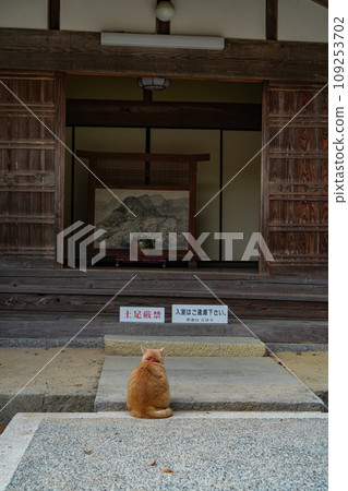 江東三山百濟寺秋天 江東三山百濟寺秋天 109253702