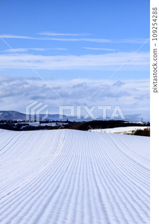 Hokkaido in winter and the scenery of the blue sky 109254288