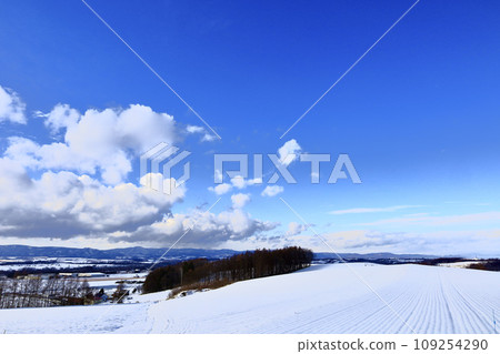 Hokkaido in winter and the scenery of the blue sky 109254290