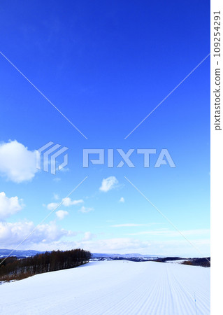 Hokkaido in winter and the scenery of the blue sky 109254291