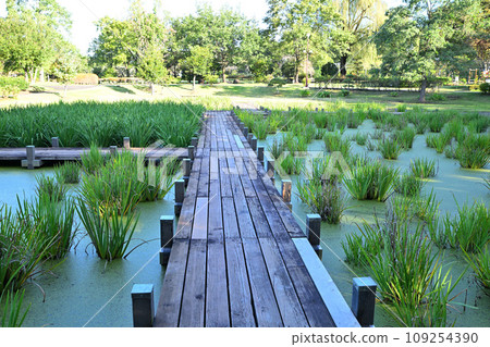 平成之森公園 河島町水邊 109254390
