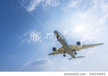 大阪府豐中市伊丹機場、藍天和著陸飛機的風景 大阪府豐中市伊丹機場、藍天和著陸飛機的風景 109254463