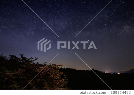 Spring starscape in Setouchi: Cygnus above the Kawazu cherry blossoms blooming on a small island Spring starscape in Setouchi: Cygnus above the Kawazu cherry blossoms blooming on a small island 109254493