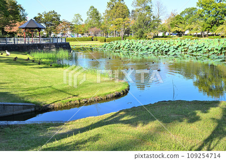Heisei no Mori Park Shukei Pond Waterside Kawajima Town Heisei no Mori Park Shukei Pond Waterside Kawajima Town 109254714