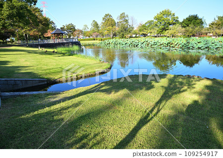 Heisei no Mori Park Shukei Pond Waterside Kawajima Town 109254917