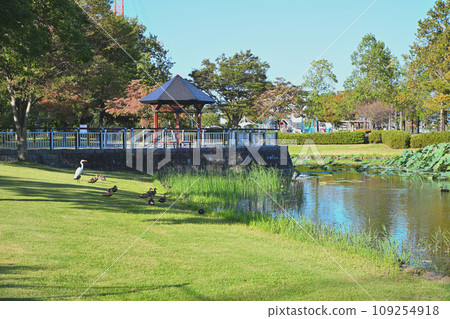平成之森公園 修景池 川島町水邊 109254918