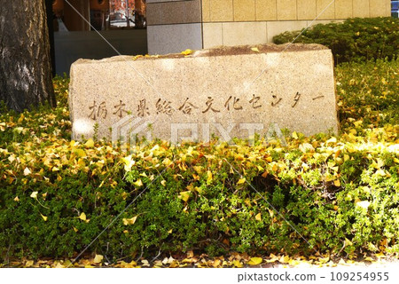 The Tochigi Prefectural Cultural Center is nestled in the midst of yellow ginkgo trees. The Tochigi Prefectural Cultural Center is nestled in the midst of yellow ginkgo trees. 109254955