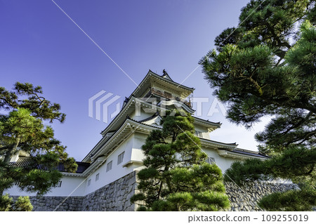富山城 富山市鄉土博物館 富山縣 富山市 富山城 富山市鄉土博物館 富山縣 富山市 109255019