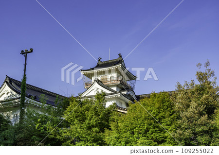 Toyama Castle Toyama City Local Museum Toyama City, Toyama Prefecture Toyama Castle Toyama City Local Museum Toyama City, Toyama Prefecture 109255022