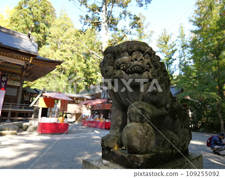 Chichibu Hodosan Shrine lion 109255092