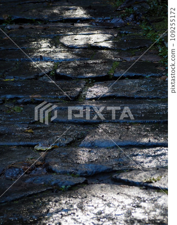 Stone steps at Mt. Haguro, Yamagata Prefecture Stone steps at Mt. Haguro, Yamagata Prefecture 109255172