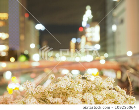 I am the flower of the night 109256064