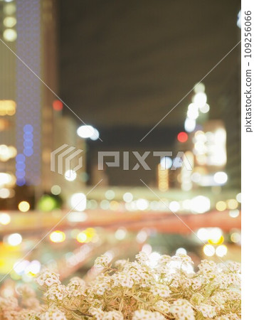 I am the flower of the night 109256066