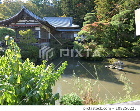 Chichibu Hodosan Shrine garden 109256223