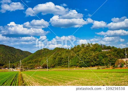 Historic Site Odari Castle Ruins Historic Site Odari Castle Ruins 109256538
